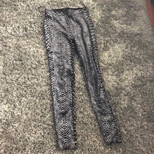 Kyraa velvet snake print leggings